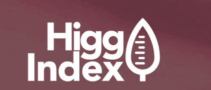 The Higg index: